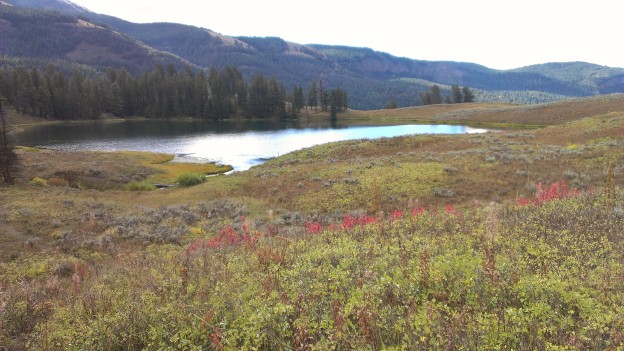 Yellowstone Trout Lake, Buck Lake, And The Shrimp Lake Hike