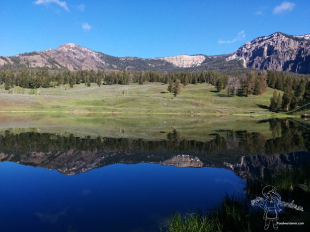 Travel Thursday: Trout Lake Trail In Yellowstone