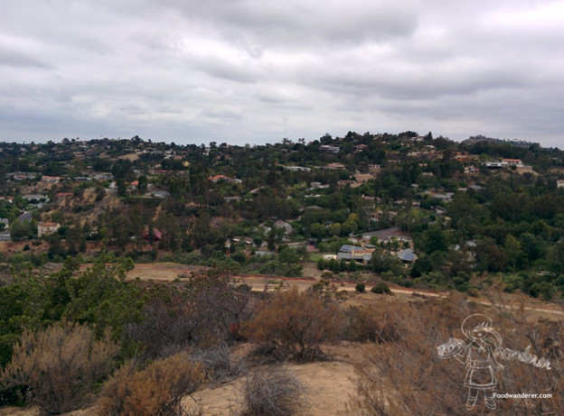 Peter’s Canyon Trail In Orange County