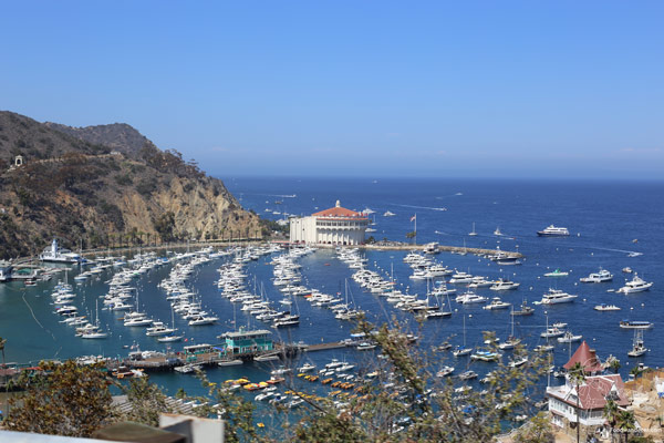 Catalina Island: Paradise In Los Angeles County