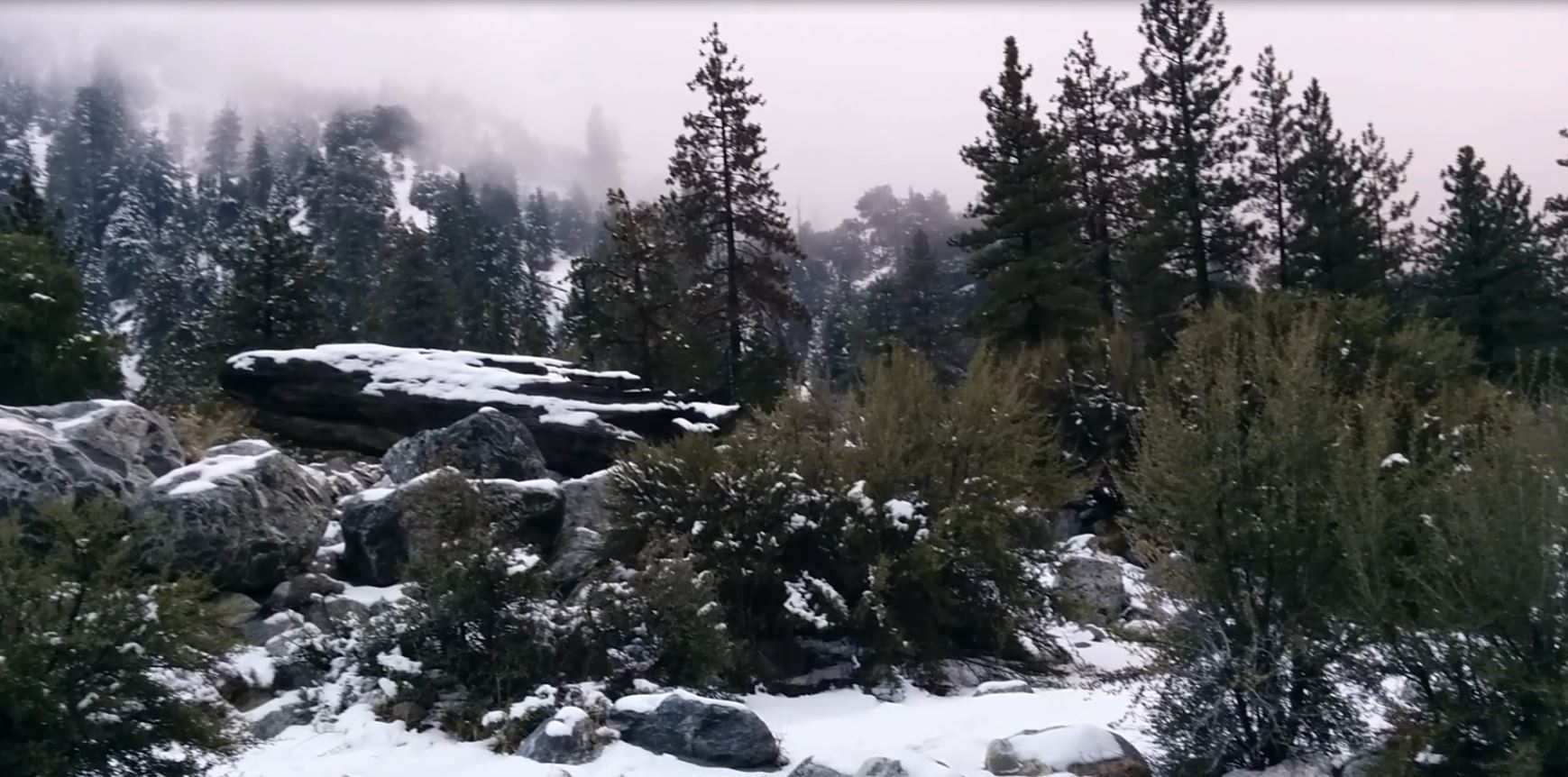 Travel Thursdays: Winter Wonderland At Forest Falls California
