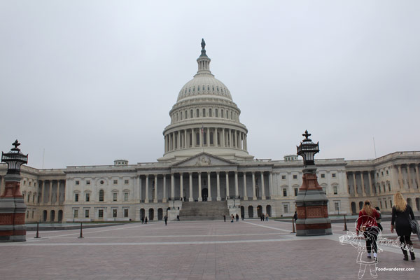 Travel Thursday: Washington DC US Capitol
