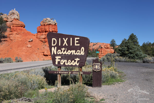 Travel Thursdays: Dixie National Forest